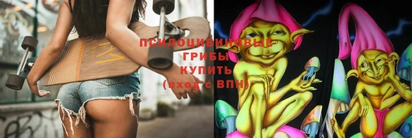 мдпв Горняк