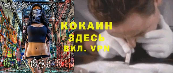 мдпв Горняк
