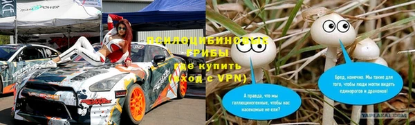 ПСИЛОЦИБИНОВЫЕ ГРИБЫ Горнозаводск