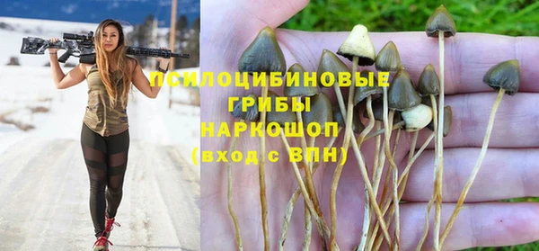 ПСИЛОЦИБИНОВЫЕ ГРИБЫ Горнозаводск