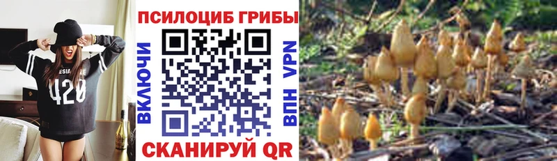 Галлюциногенные грибы мицелий  Купить  Полярный 